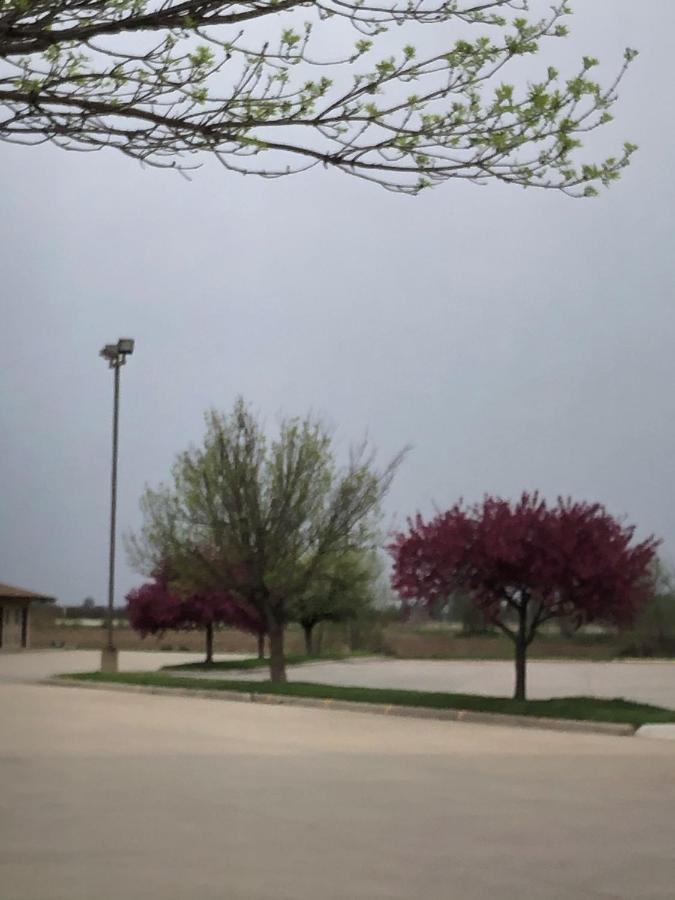 Americas Best Value Inn Onawa Exterior foto